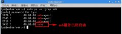 ubuntu14.04SSH