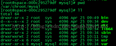 chroot MySQL on CentOSϵͳ