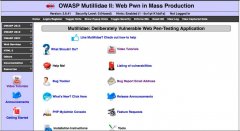 OWASP Mutillidaeİװ