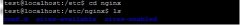Ubuntu£жNginxװʧܵĴ