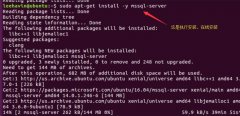 Linux³MSSQL-SERVER