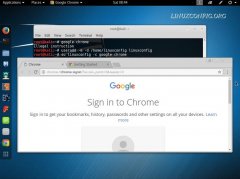 Kali LinuxаװGoogle Chrome