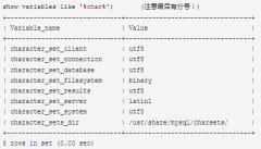 MYSQL洢