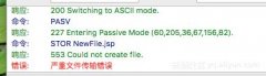 linuxϵͳfilezilla޷ϴļ 553 Could not create