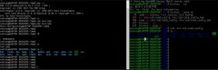Linux子系统如何在win10下开启ssh服务?