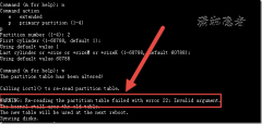 WARNING:Re-reading the partition table failed with error 22